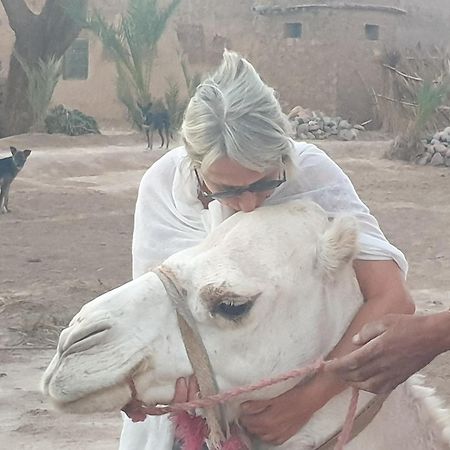 Gite Kasbah La Palmeraie Skoura Εξωτερικό φωτογραφία