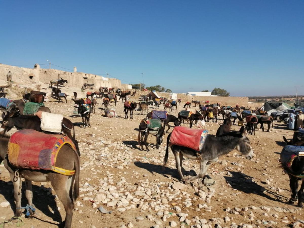 Gite Kasbah La Palmeraie Skoura Εξωτερικό φωτογραφία