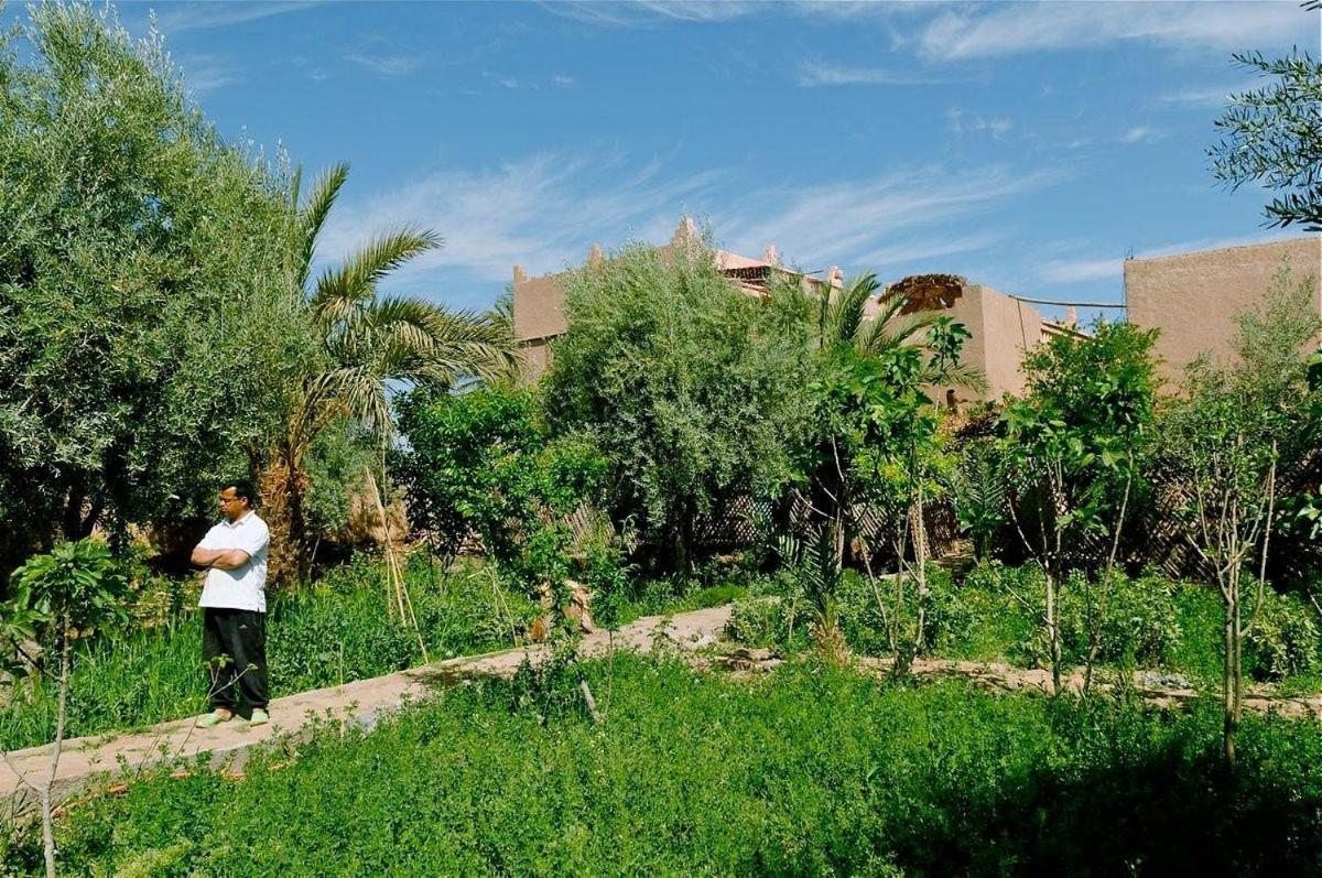 Gite Kasbah La Palmeraie Skoura Εξωτερικό φωτογραφία