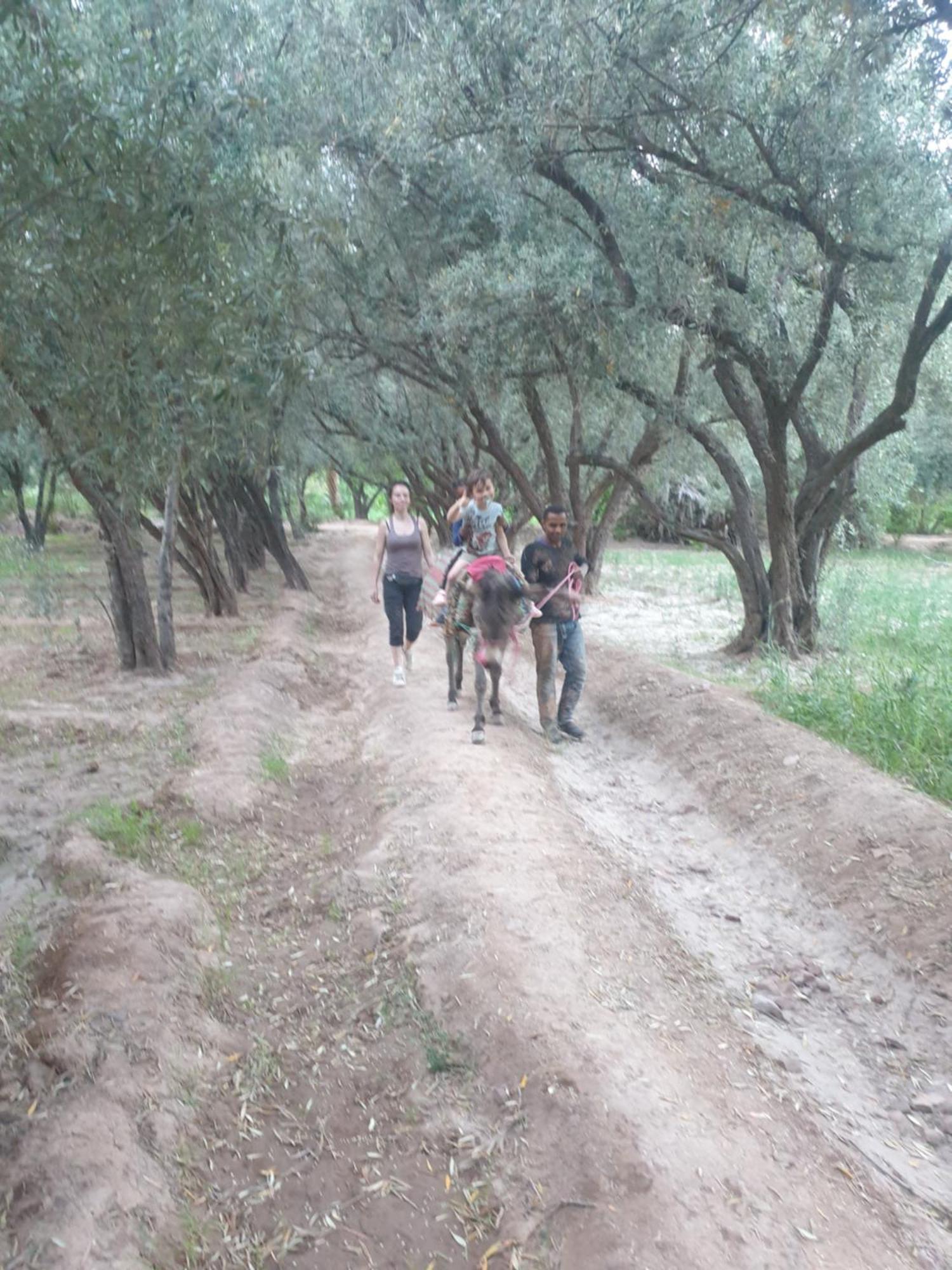 Gite Kasbah La Palmeraie Skoura Εξωτερικό φωτογραφία