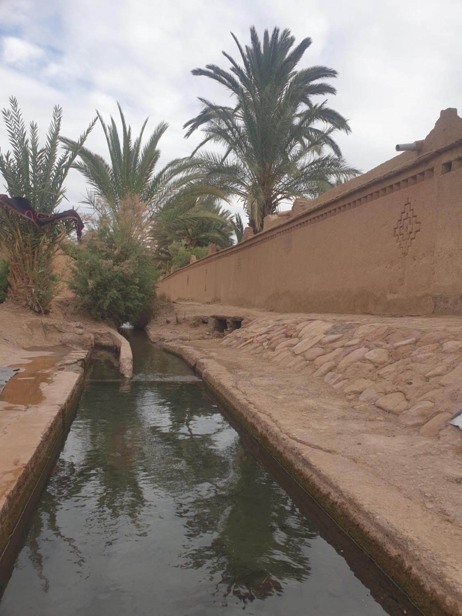 Gite Kasbah La Palmeraie Skoura Εξωτερικό φωτογραφία