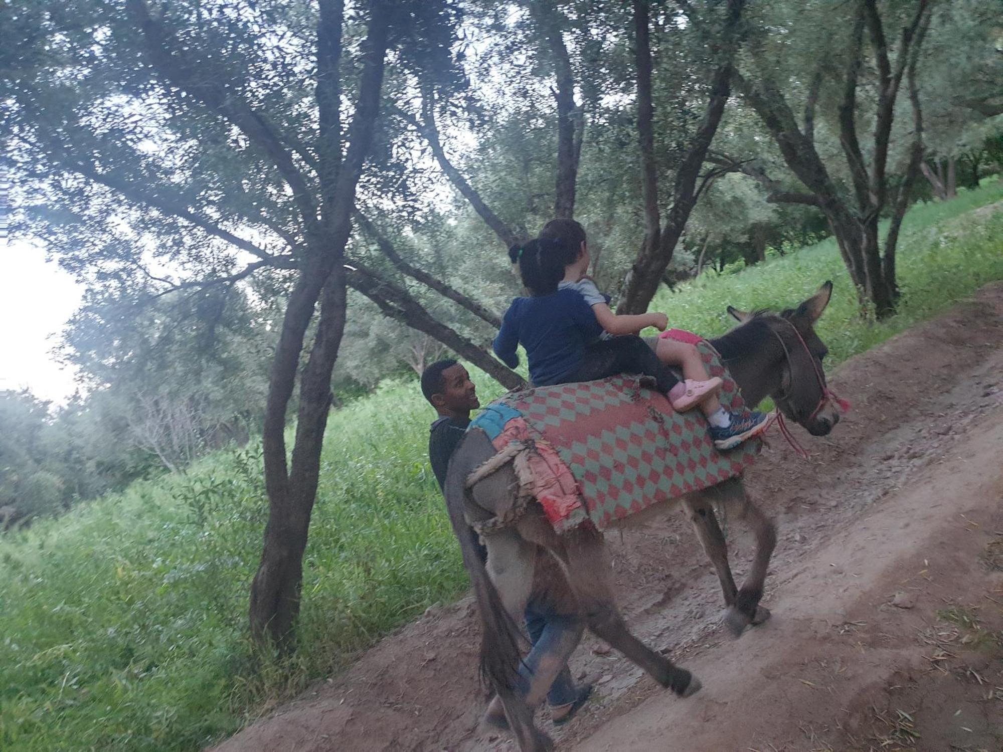 Gite Kasbah La Palmeraie Skoura Εξωτερικό φωτογραφία