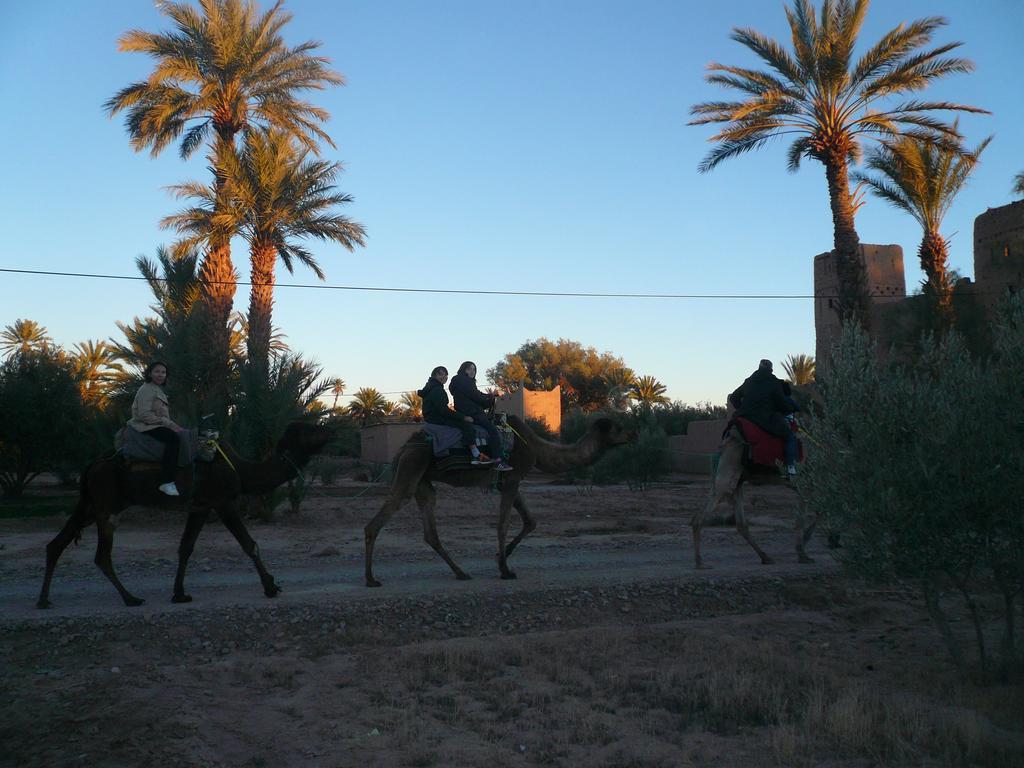 Gite Kasbah La Palmeraie Skoura Εξωτερικό φωτογραφία
