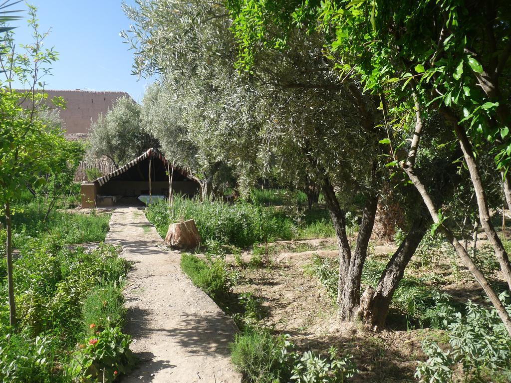 Gite Kasbah La Palmeraie Skoura Εξωτερικό φωτογραφία