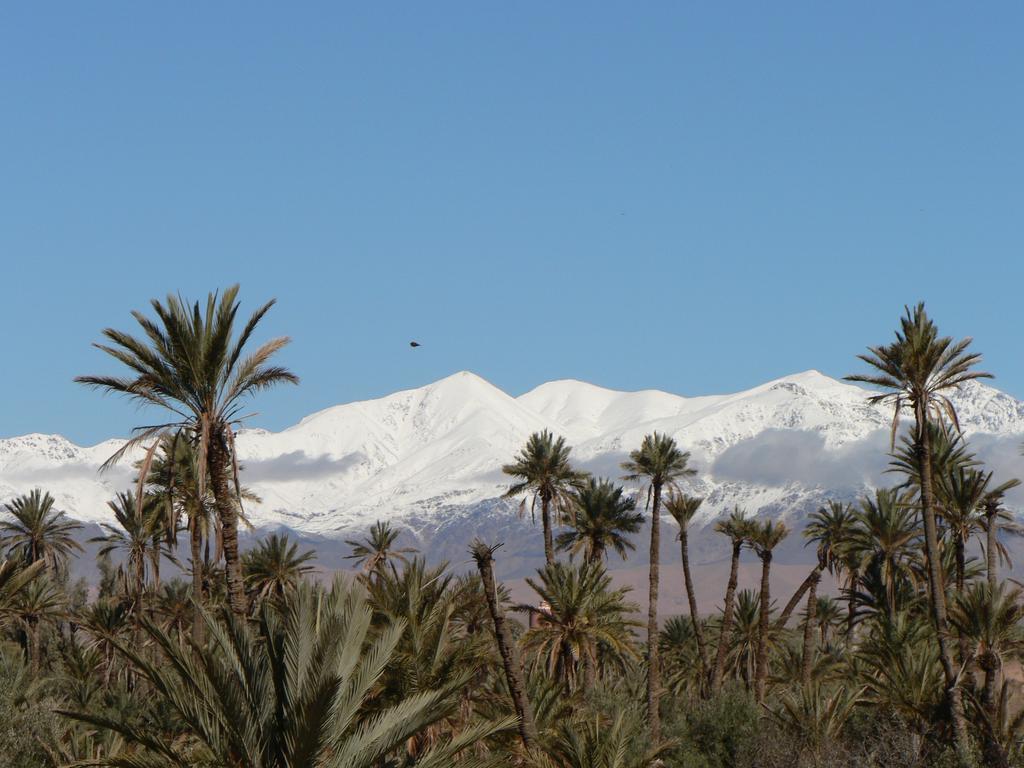 Gite Kasbah La Palmeraie Skoura Εξωτερικό φωτογραφία
